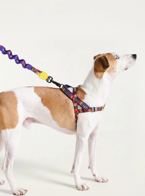 Peitoral softwalk farm zee.dog samba Mix M