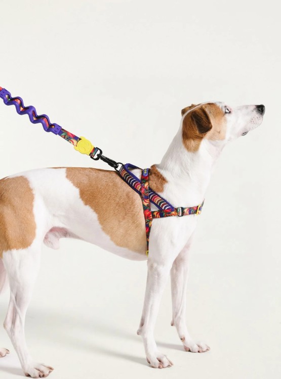 Peitoral softwalk farm zee.dog samba Mix M