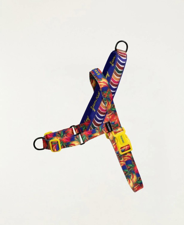 Peitoral softwalk farm zee.dog samba Mix M