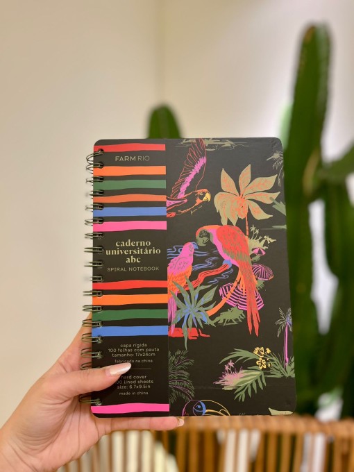 Caderno universitário Voo Descoladinha