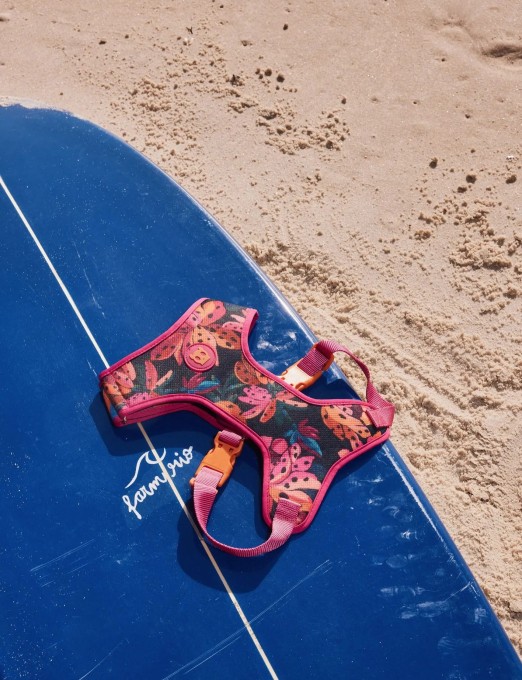 Peitoral Airmesh farm Zee.dog selva Flor De Banana PP