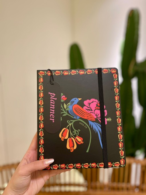 Planner Voo Descoladinha