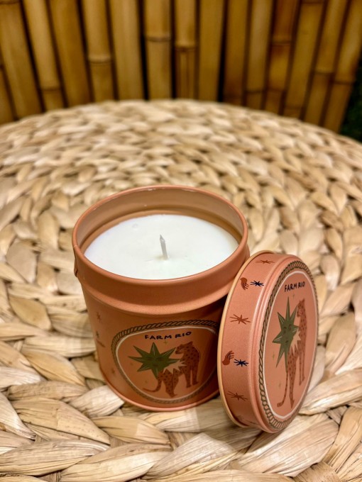 Vela Onça Selos Místicos