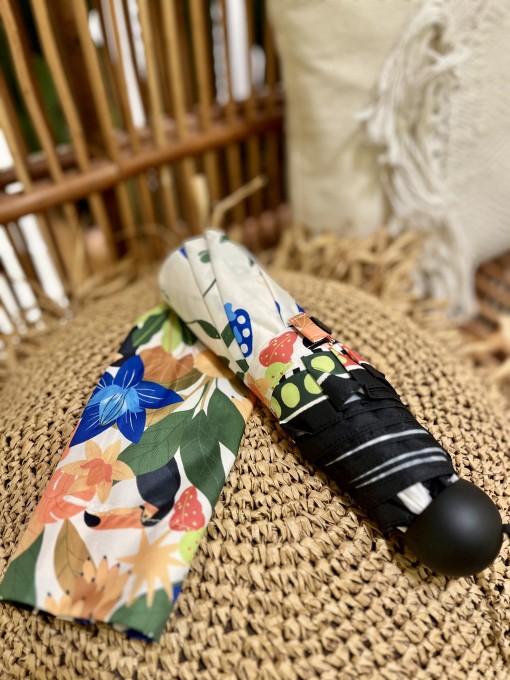 Guarda-Chuva Farm Chuá Oásis Latino